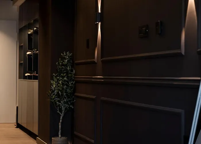 Maraschino - Lux In *